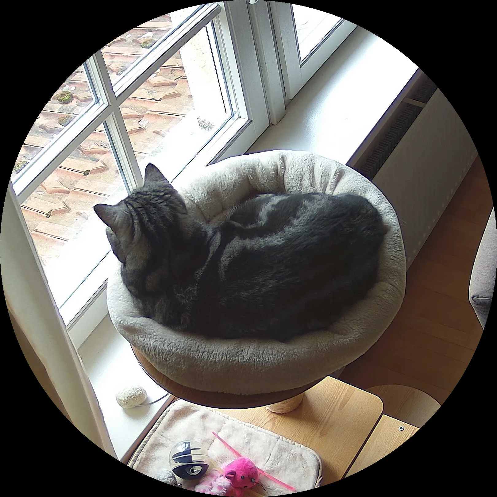 Rocky’s place on 9. März 2024 at 01:00