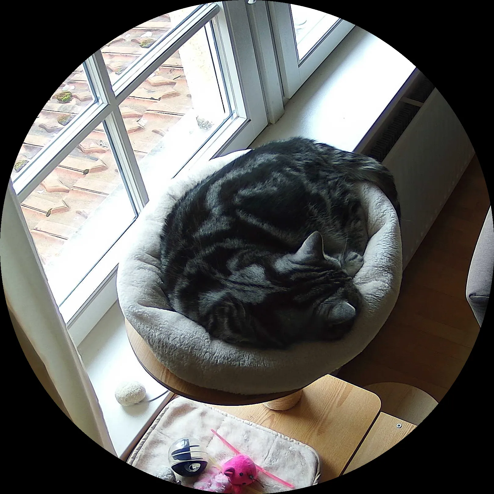 Rocky’s place on 9. März 2024 at 01:00