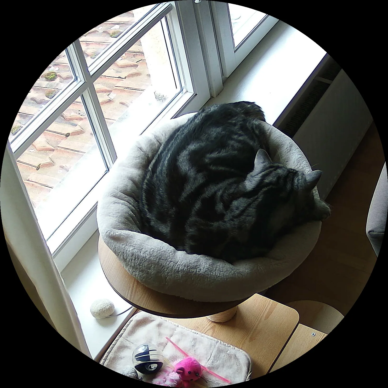 Rocky’s place on 9. März 2024 at 01:00