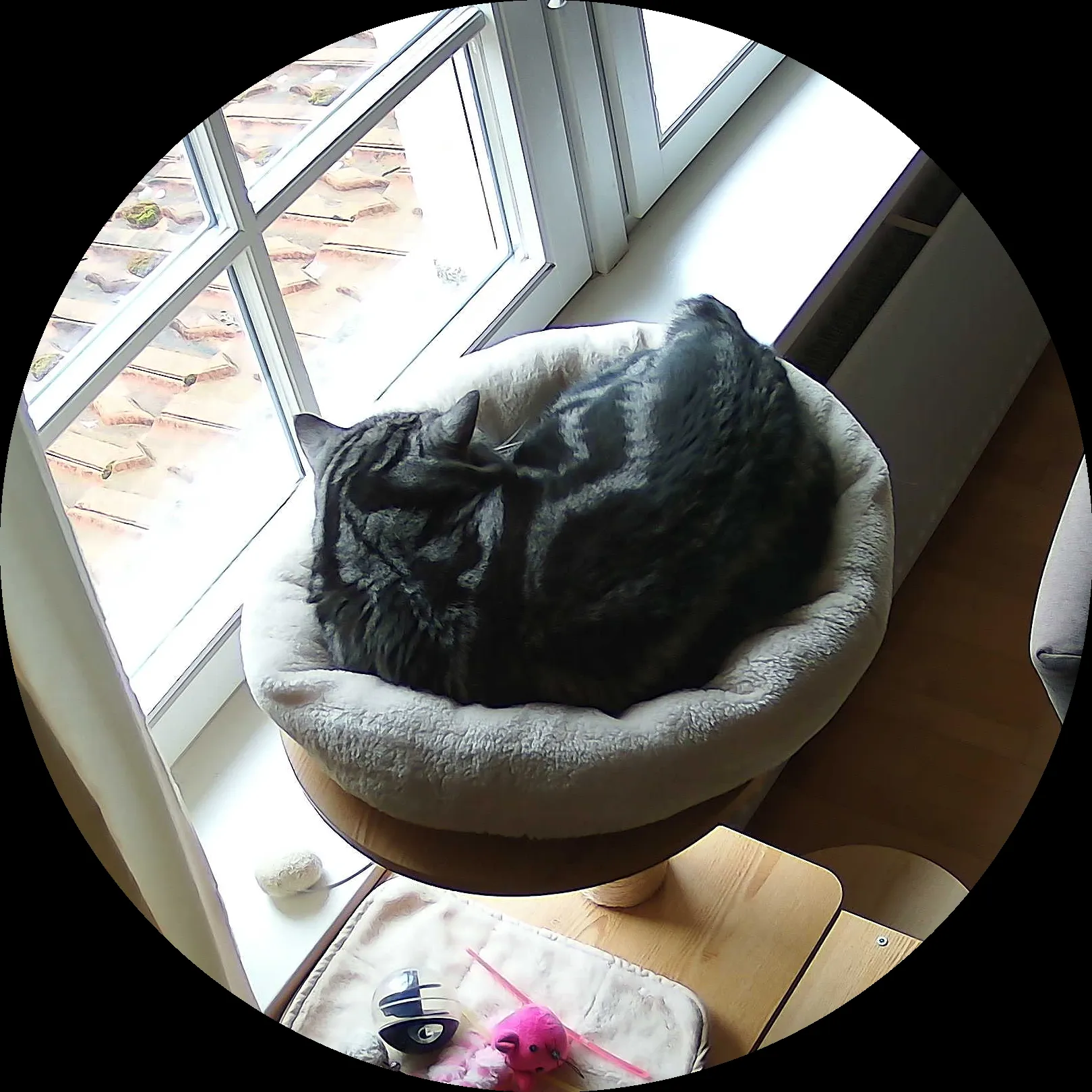 Rocky’s place on 9. März 2024 at 01:00