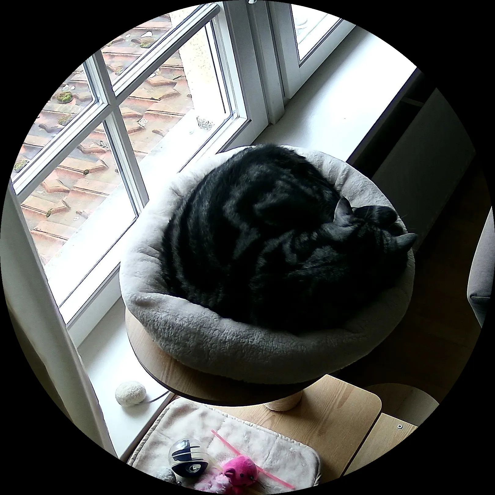 Rocky’s place on 9. März 2024 at 01:00