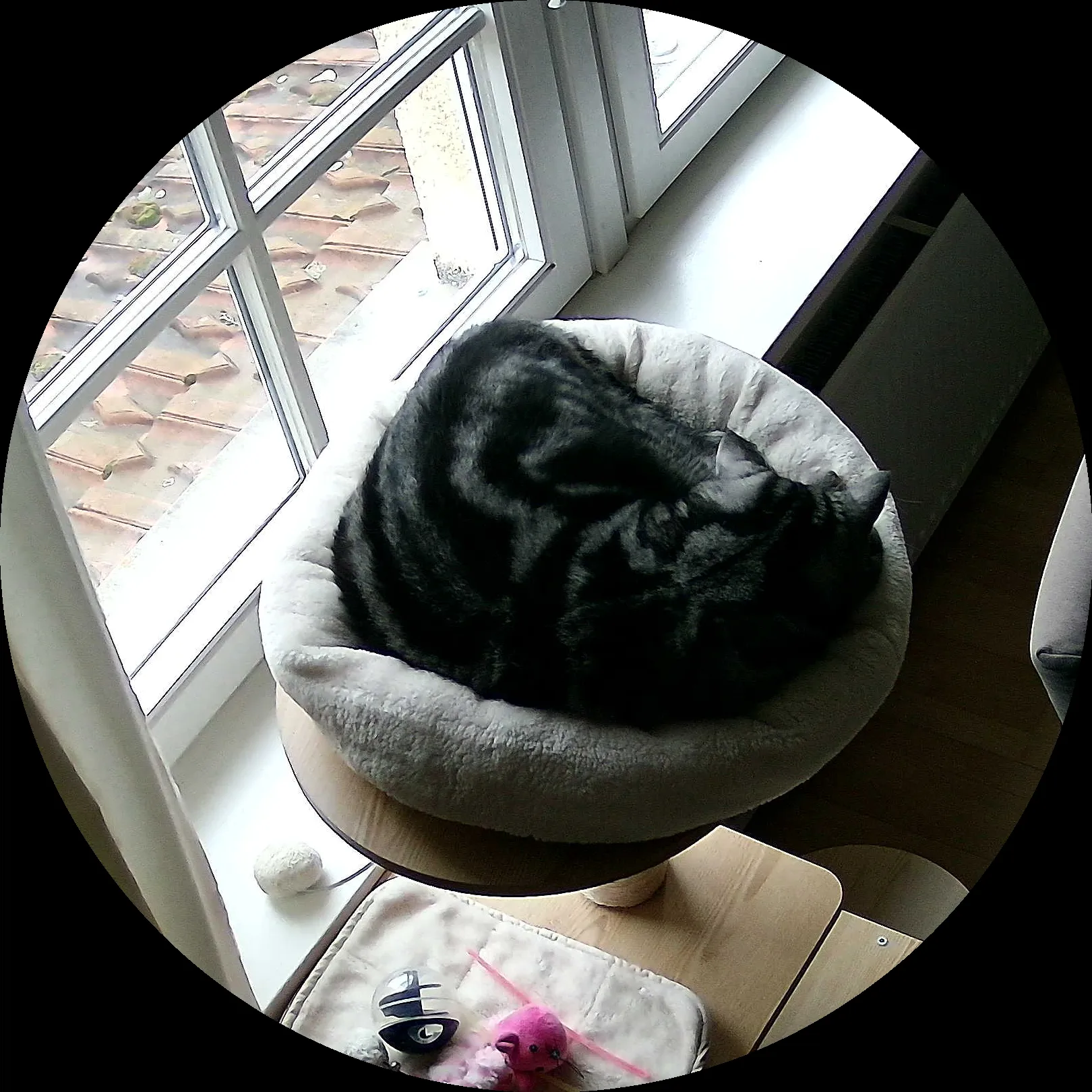 Rocky’s place on 9. März 2024 at 01:00