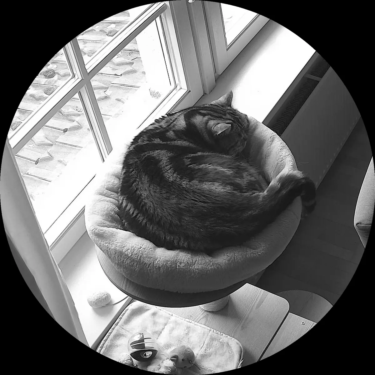 Rocky’s place on 10. März 2024 at 01:00