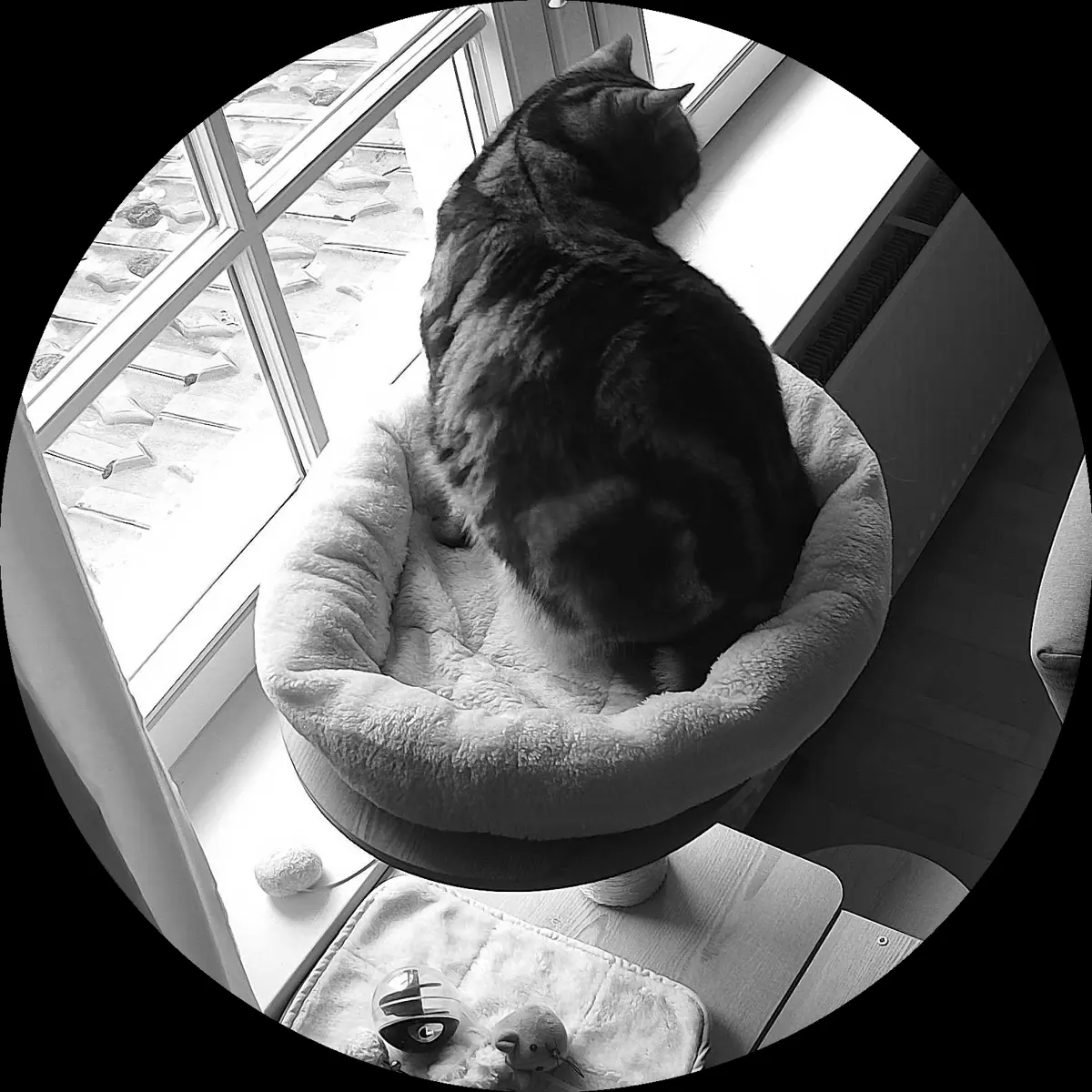 Rocky’s place on 10. März 2024 at 01:00