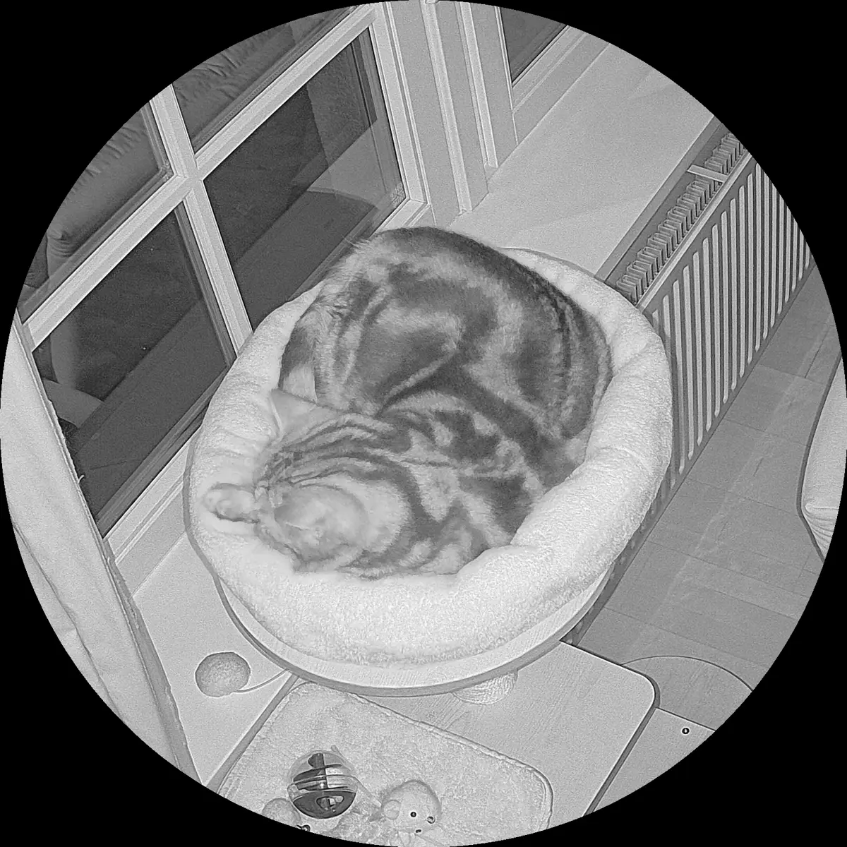 Rocky’s place on 10. März 2024 at 01:00