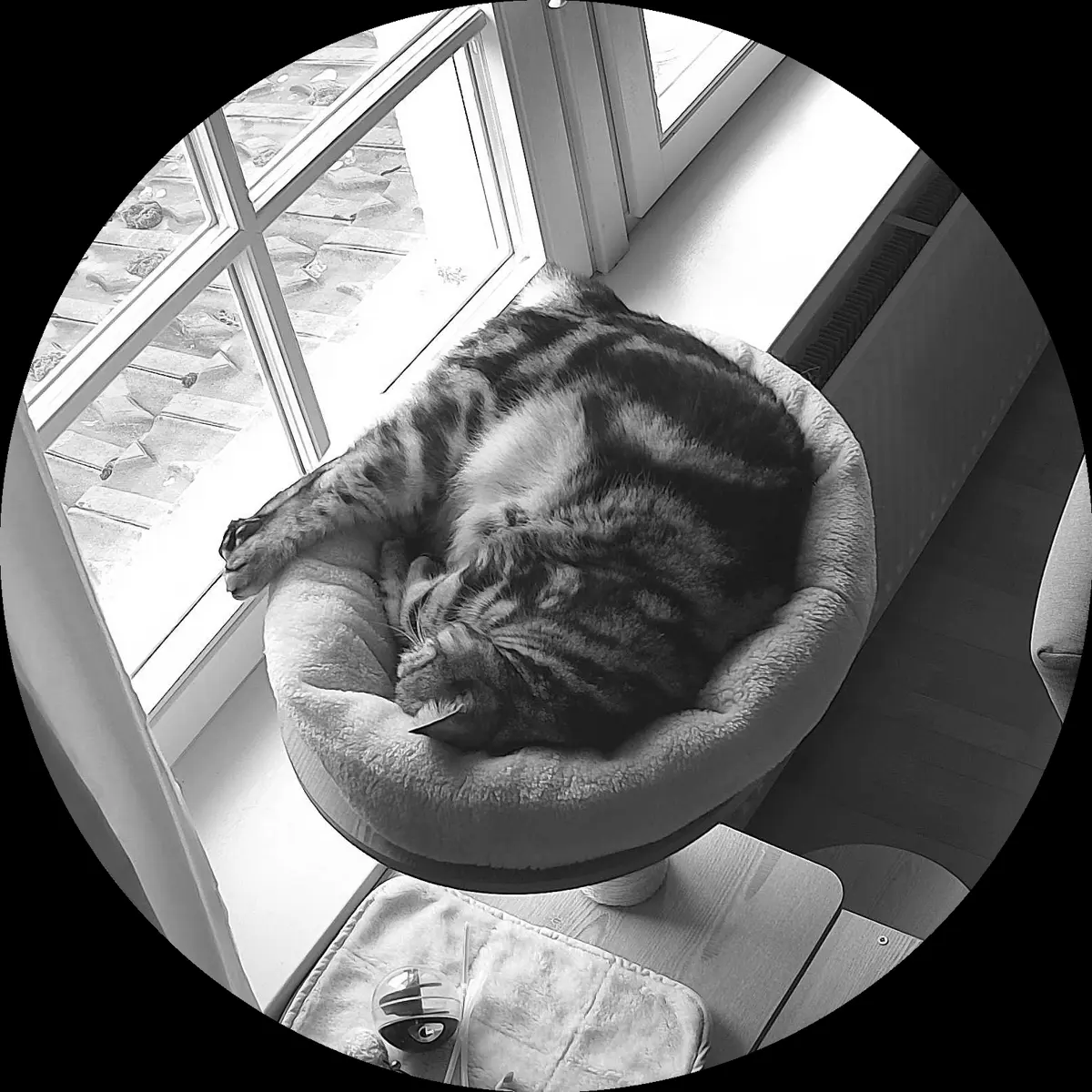 Rocky’s place on 12. März 2024 at 01:00