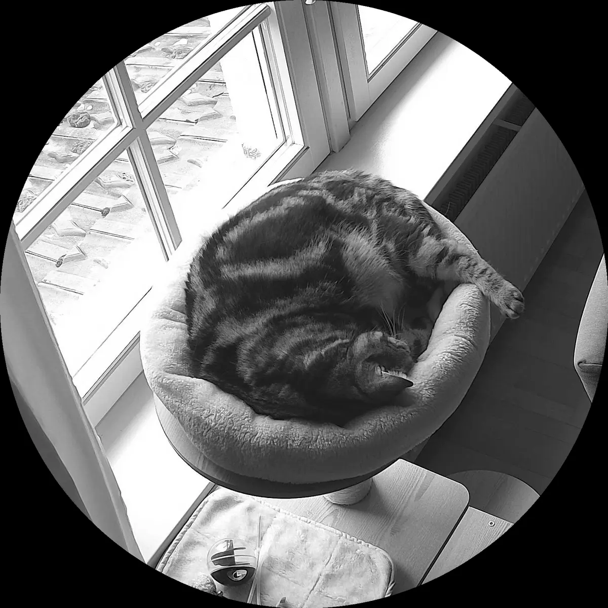 Rocky’s place on 12. März 2024 at 01:00