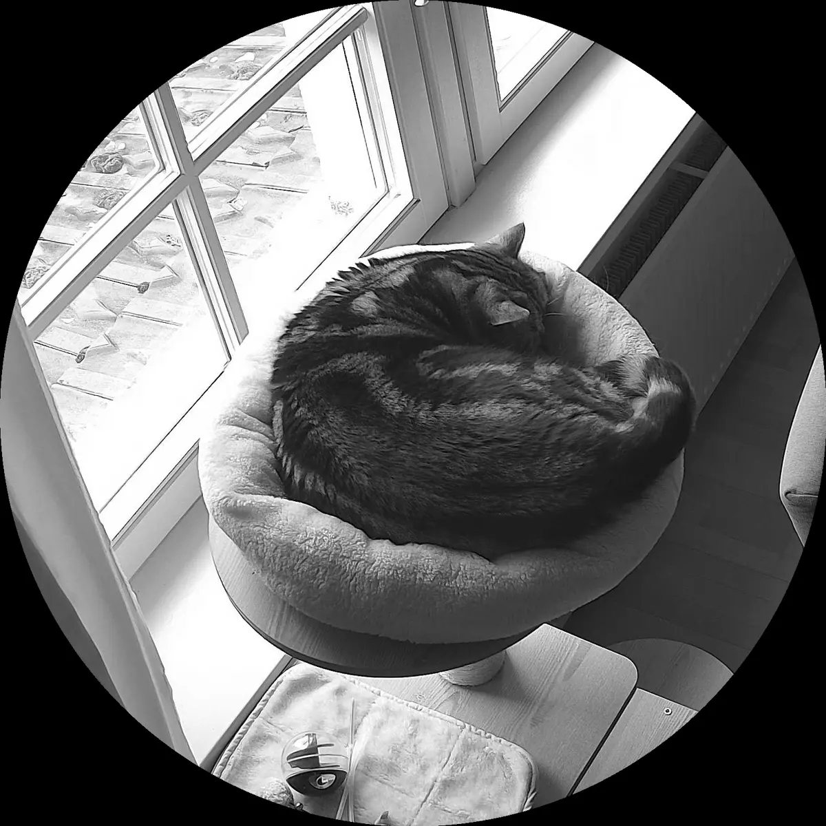 Rocky’s place on 12. März 2024 at 01:00