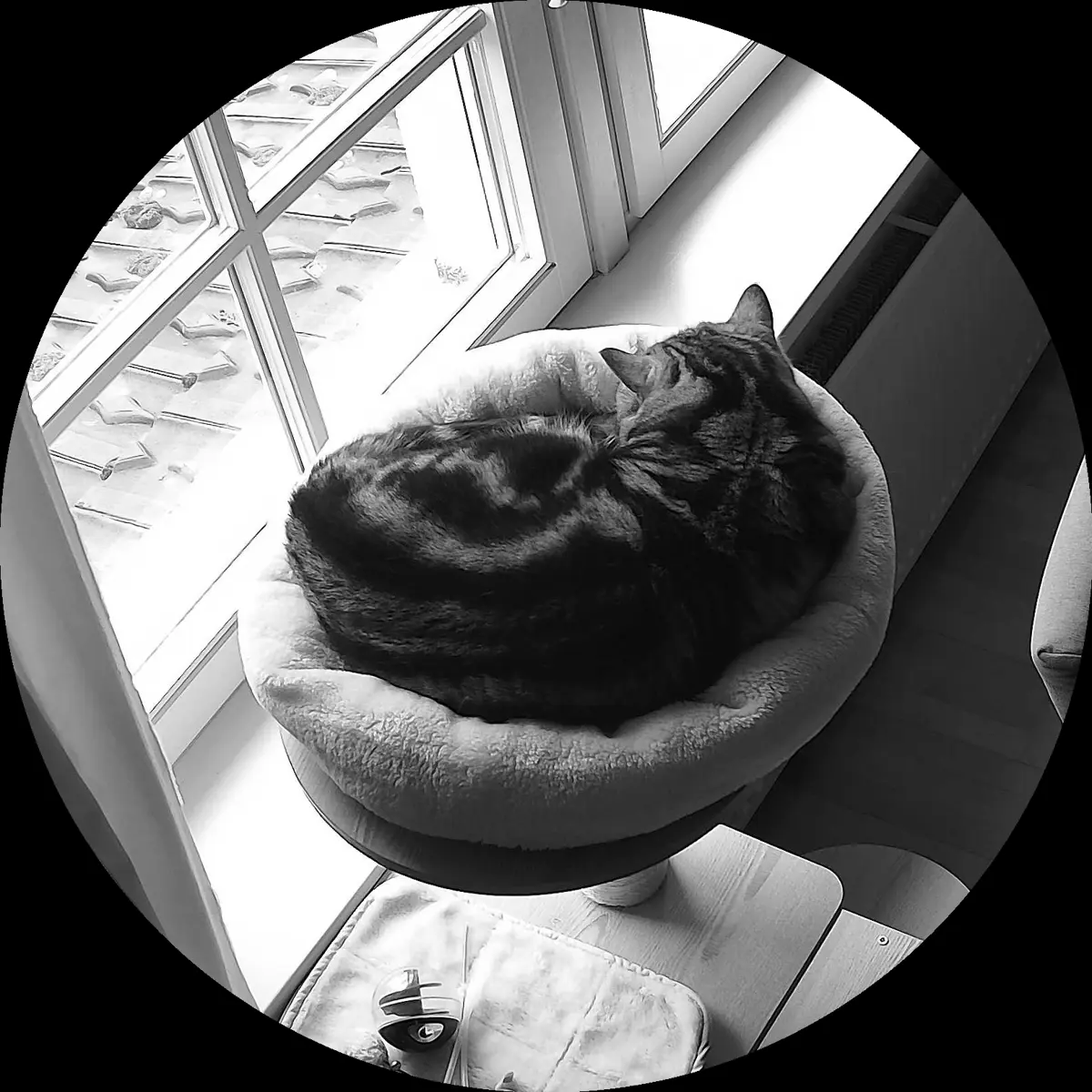 Rocky’s place on 13. März 2024 at 01:00