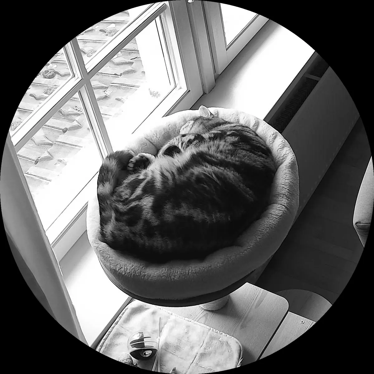 Rocky’s place on 13. März 2024 at 01:00