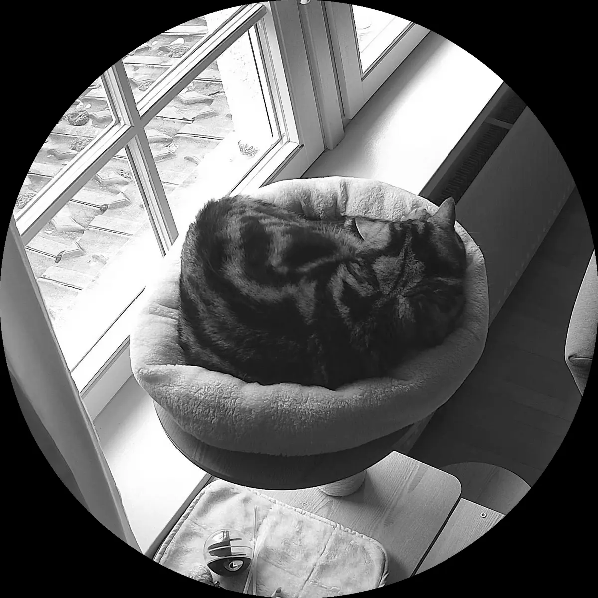 Rocky’s place on 13. März 2024 at 01:00