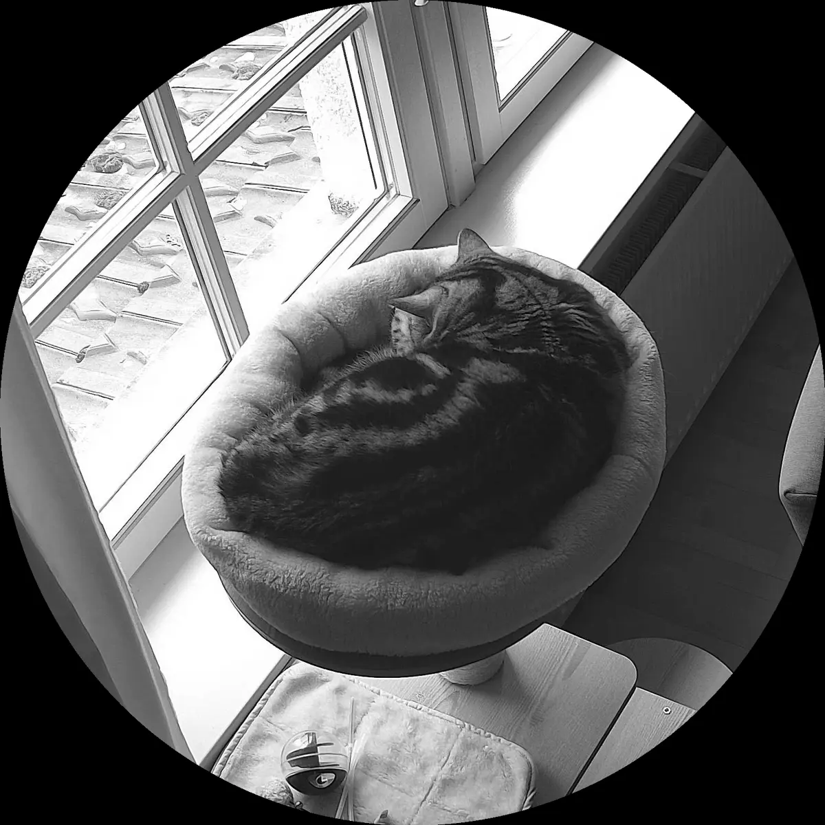 Rocky’s place on 13. März 2024 at 01:00