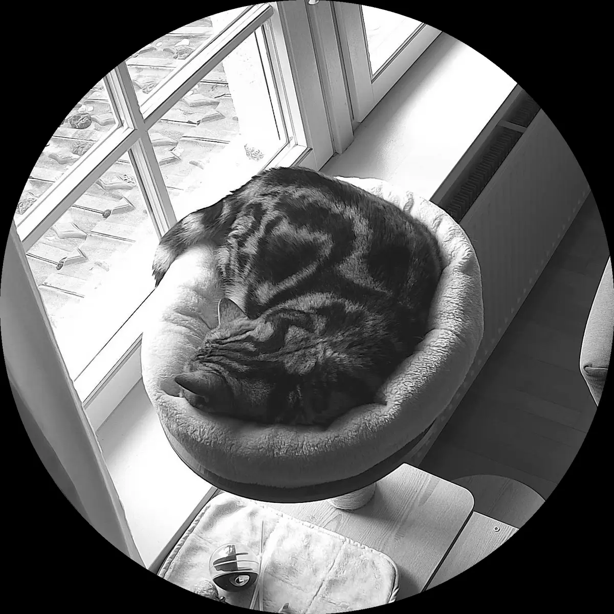 Rocky’s place on 13. März 2024 at 01:00