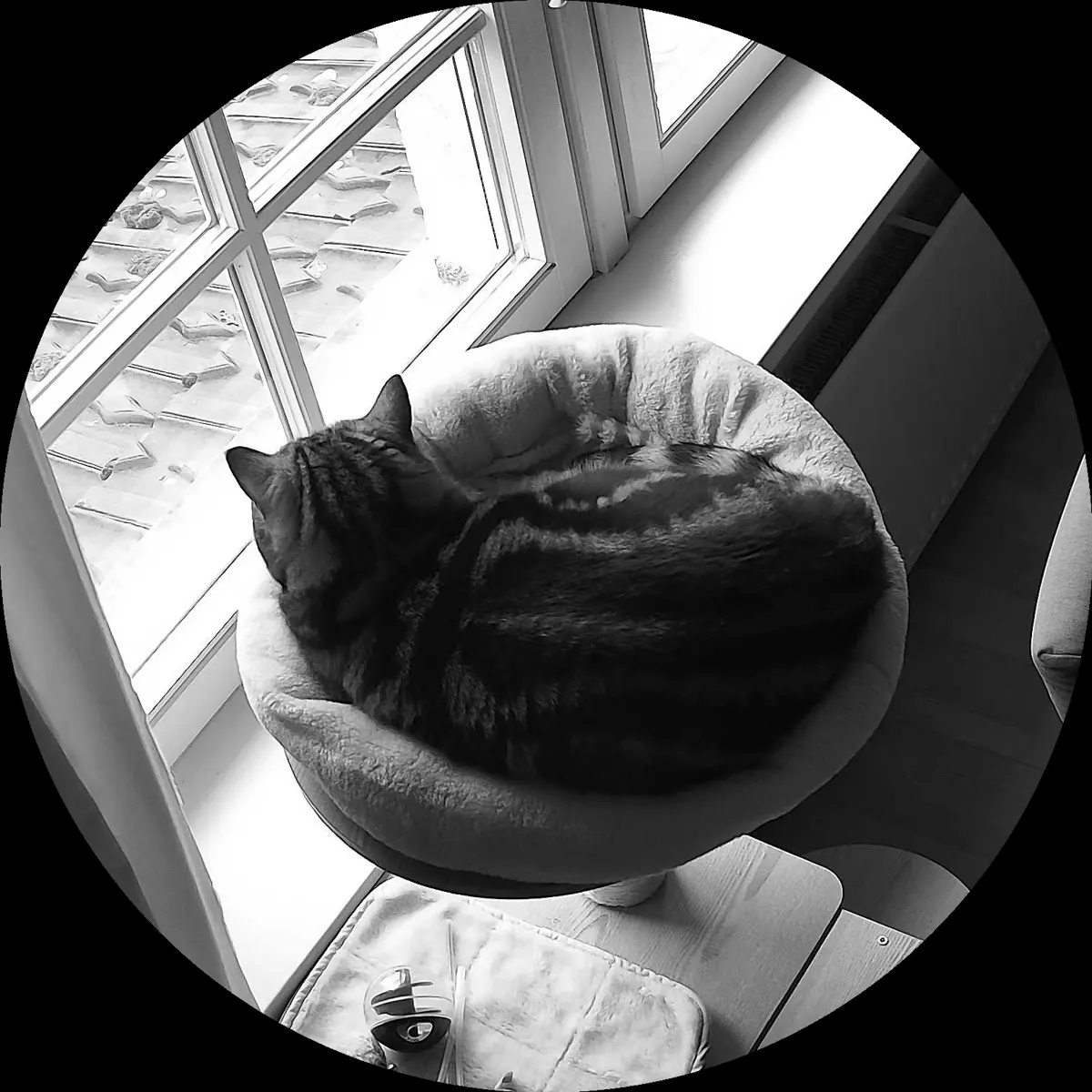 Rocky’s place on 14. März 2024 at 01:00