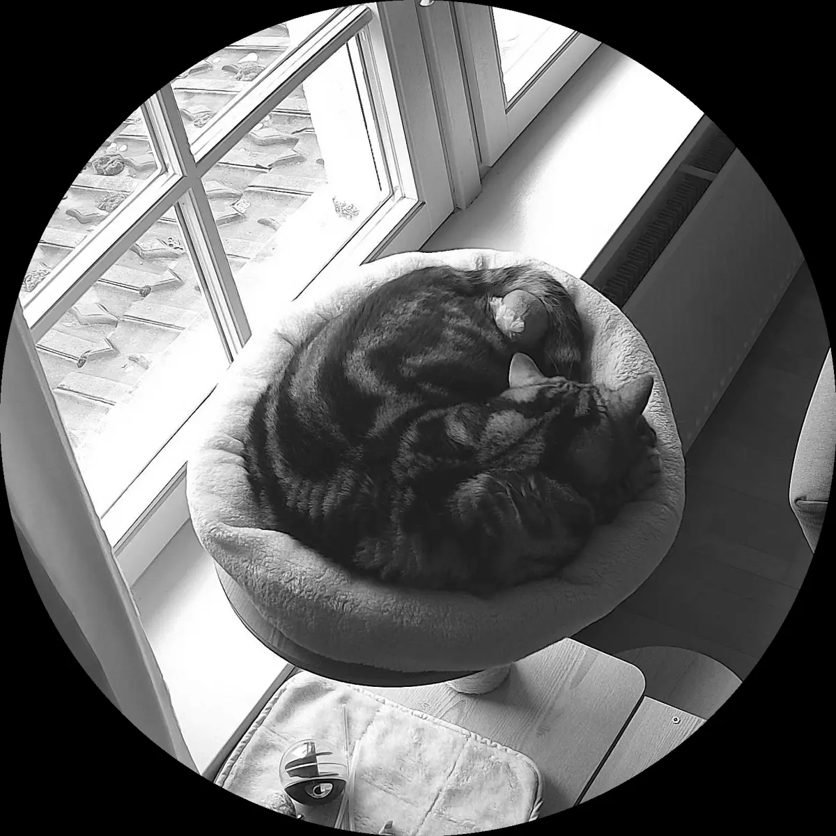 Rocky’s place on 14. März 2024 at 01:00