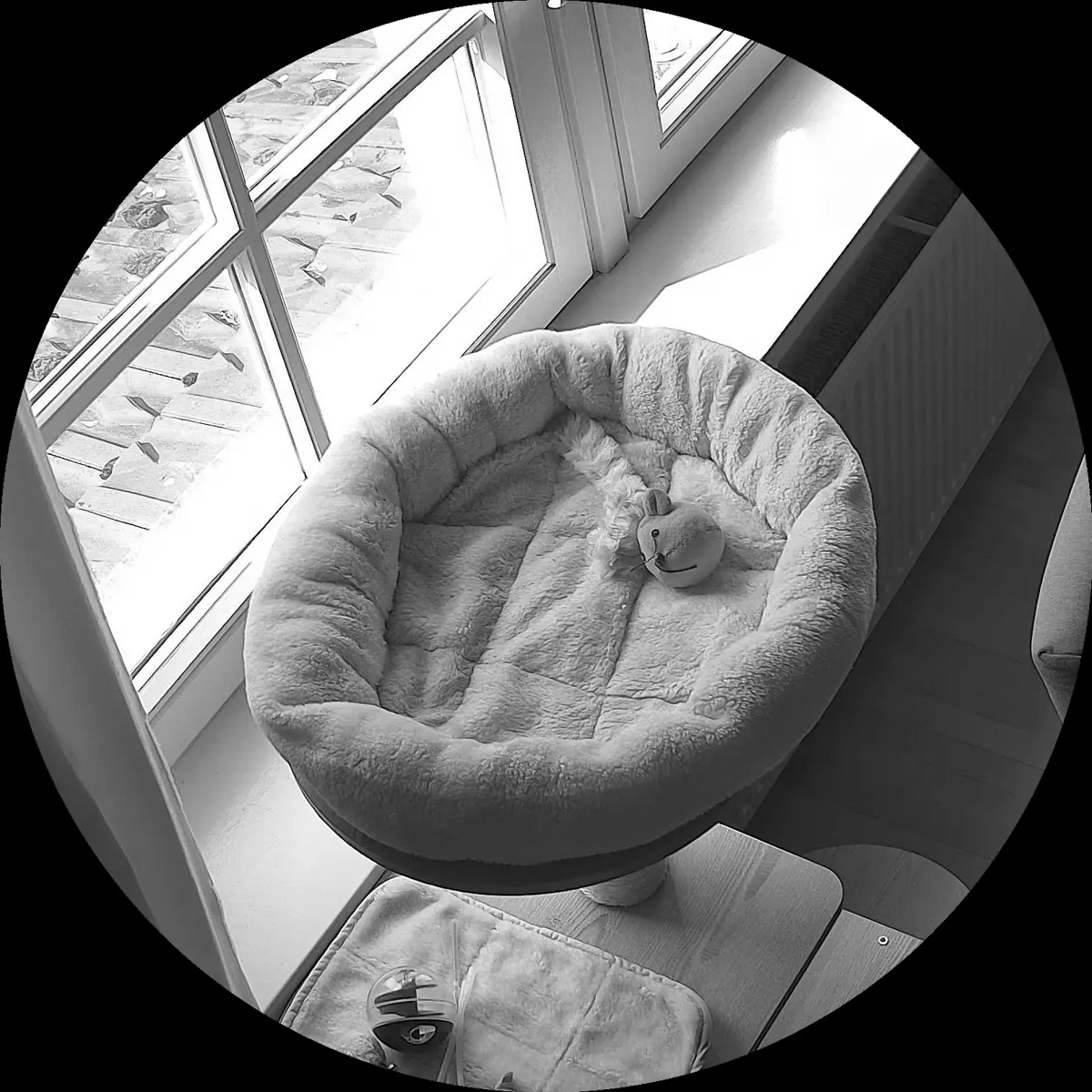 Rocky’s place on 14. März 2024 at 01:00