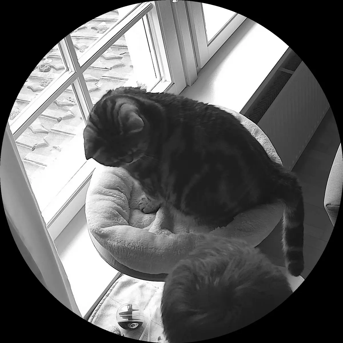 Rocky’s place on 15. März 2024 at 01:00