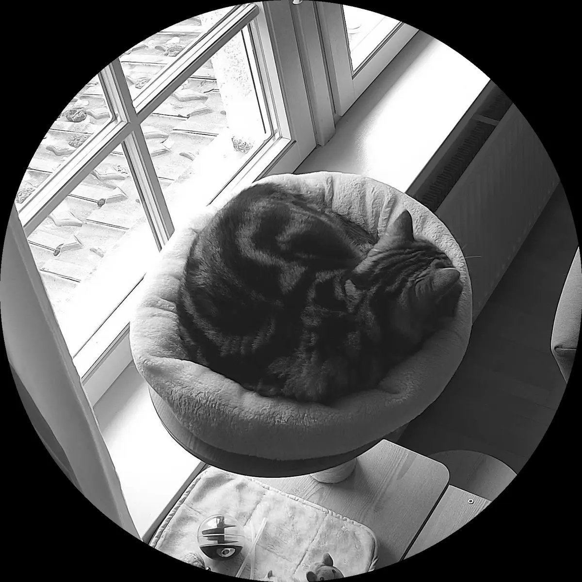 Rocky’s place on 15. März 2024 at 01:00