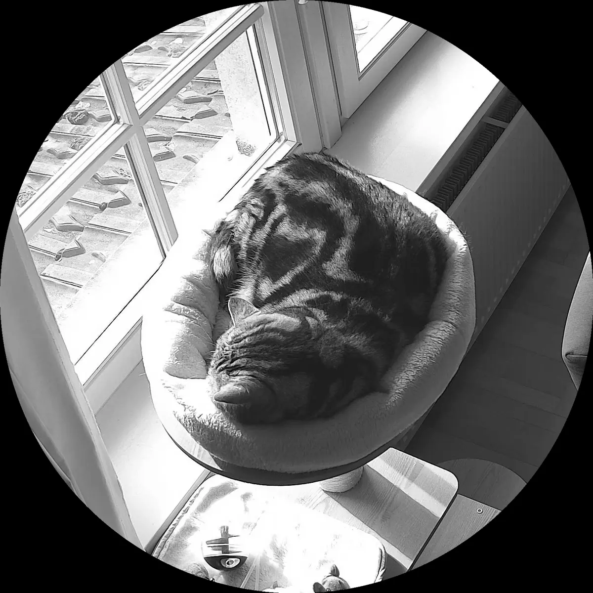 Rocky’s place on 15. März 2024 at 01:00