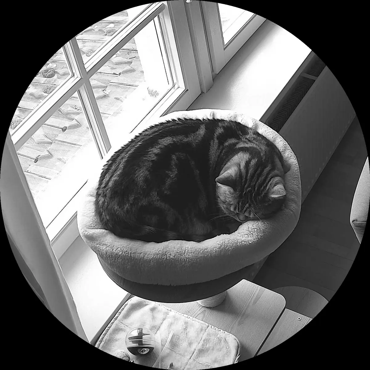 Rocky’s place on 16. März 2024 at 01:00