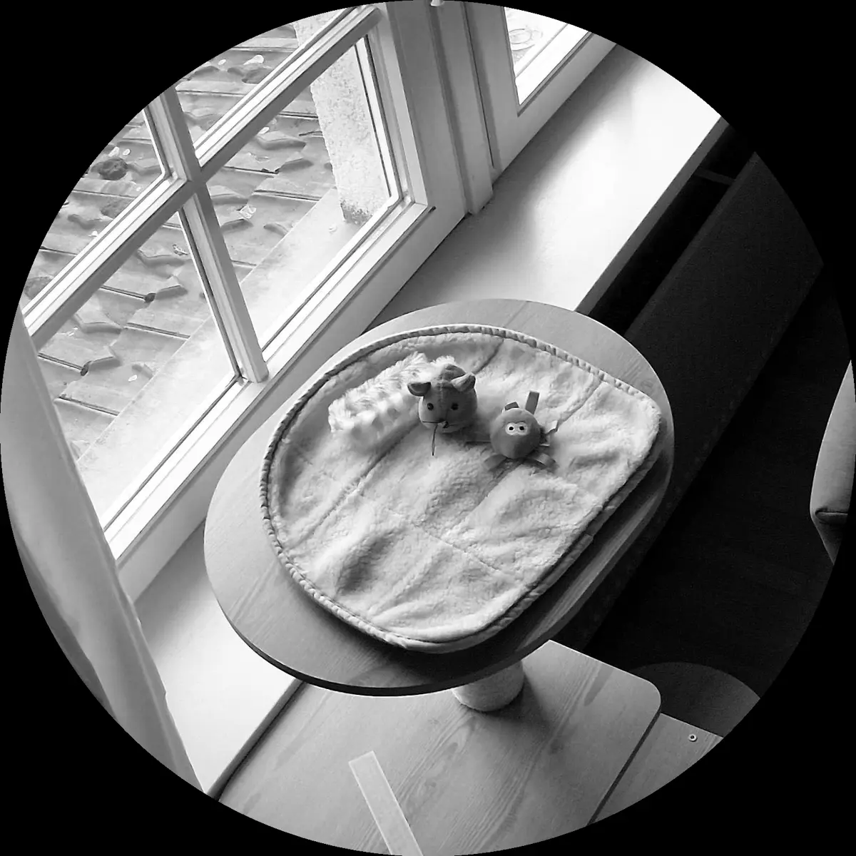 Rocky’s place on 20. März 2024 at 01:00