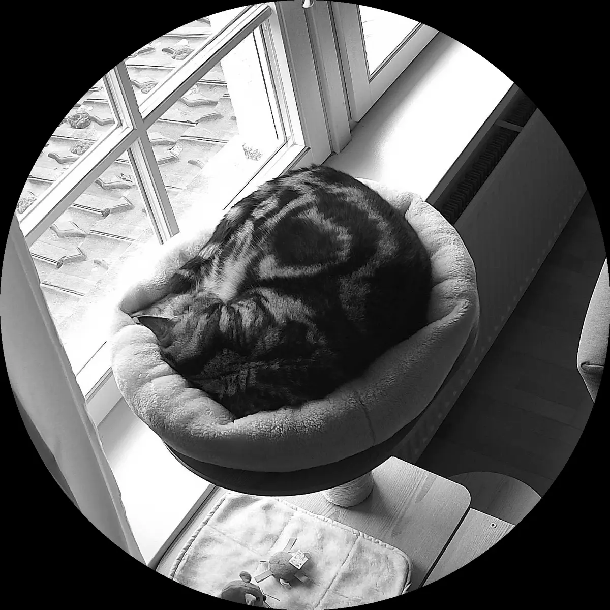 Rocky’s place on 24. März 2024 at 01:00