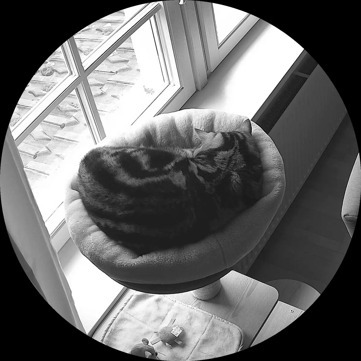 Rocky’s place on 24. März 2024 at 01:00