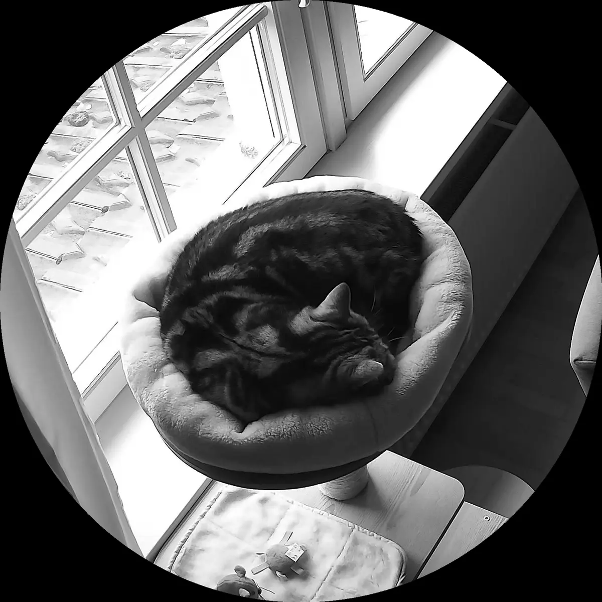 Rocky’s place on 26. März 2024 at 01:00