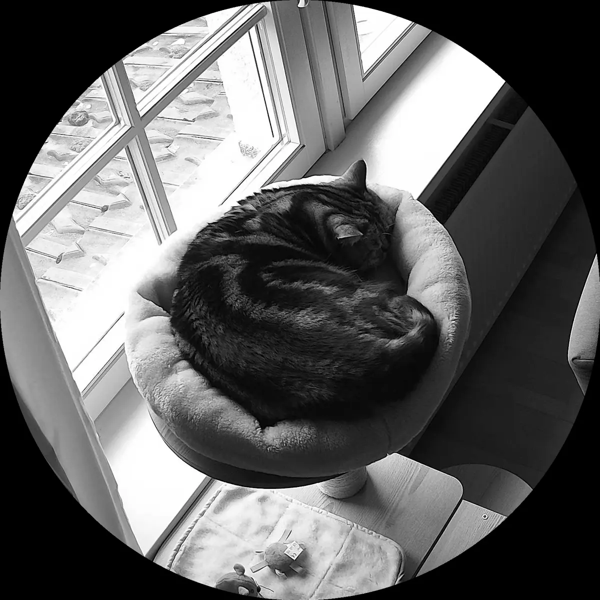 Rocky’s place on 26. März 2024 at 01:00