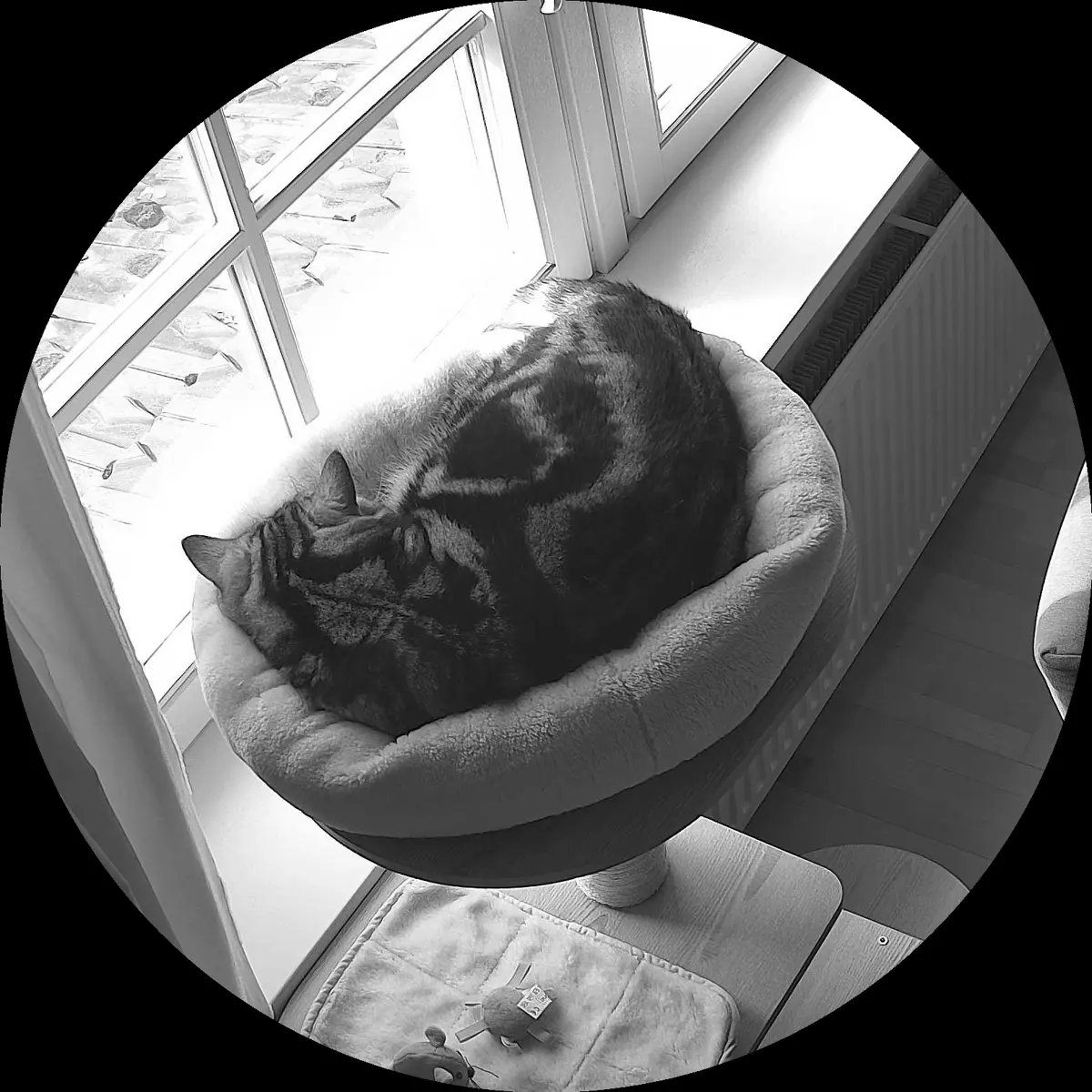 Rocky’s place on 26. März 2024 at 01:00