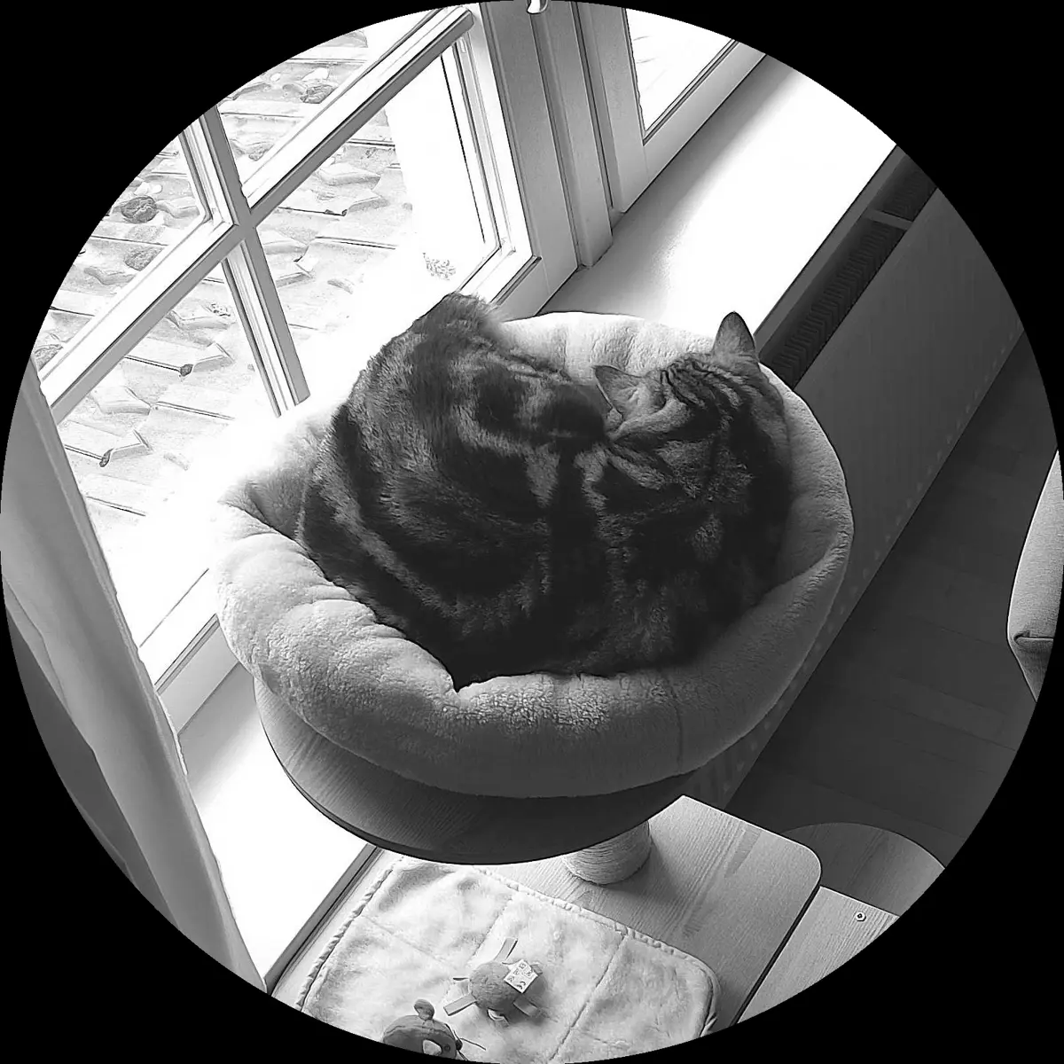 Rocky’s place on 26. März 2024 at 01:00