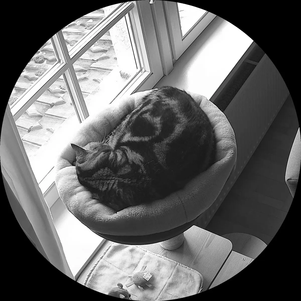 Rocky’s place on 27. März 2024 at 01:00