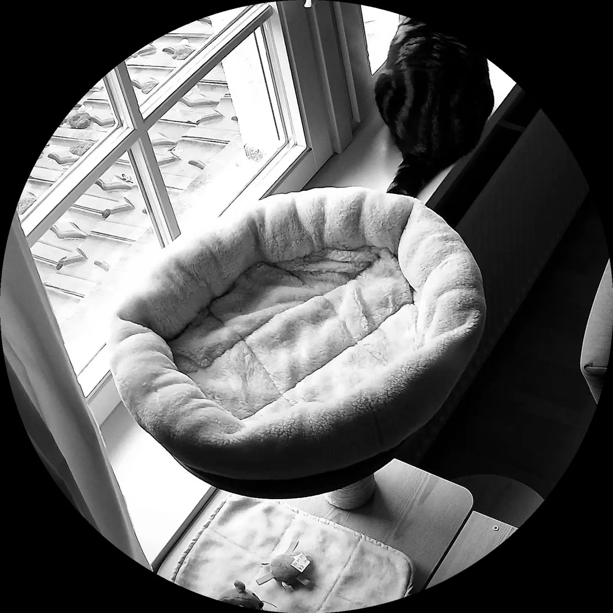 Rocky’s place on 29. März 2024 at 01:00