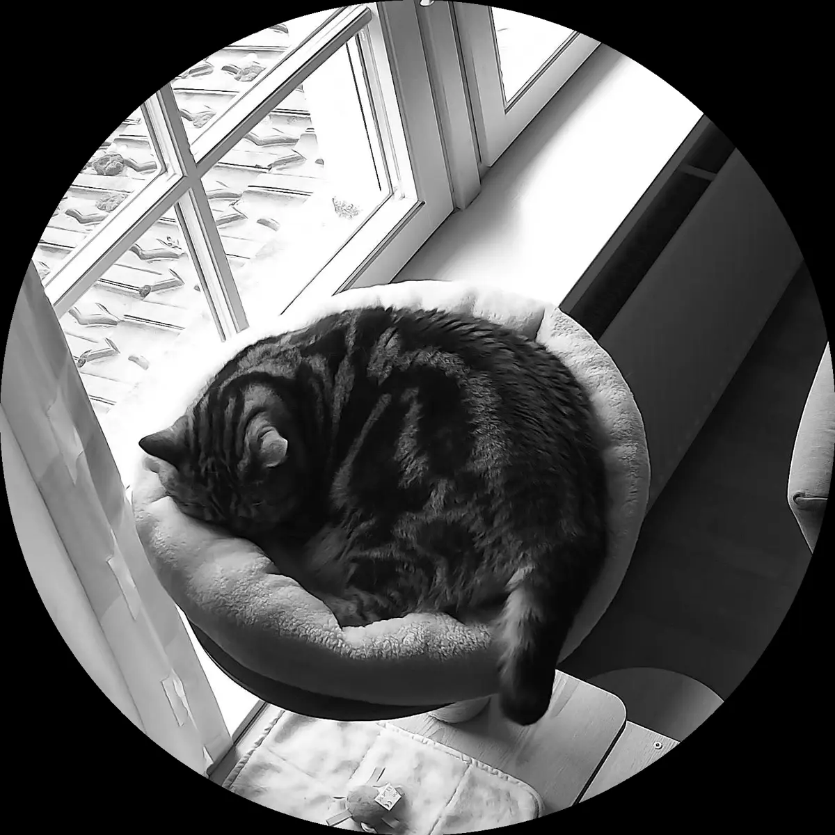 Rocky’s place on 29. März 2024 at 01:00