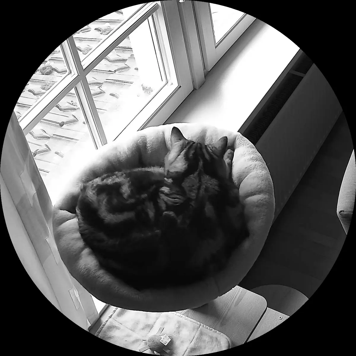 Rocky’s place on 29. März 2024 at 01:00