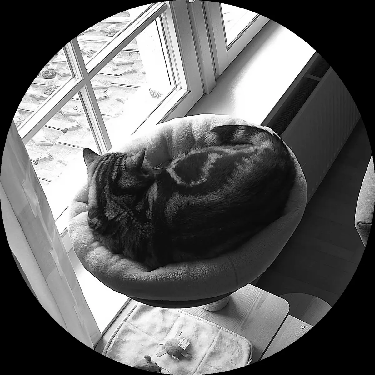 Rocky’s place on 30. März 2024 at 01:00