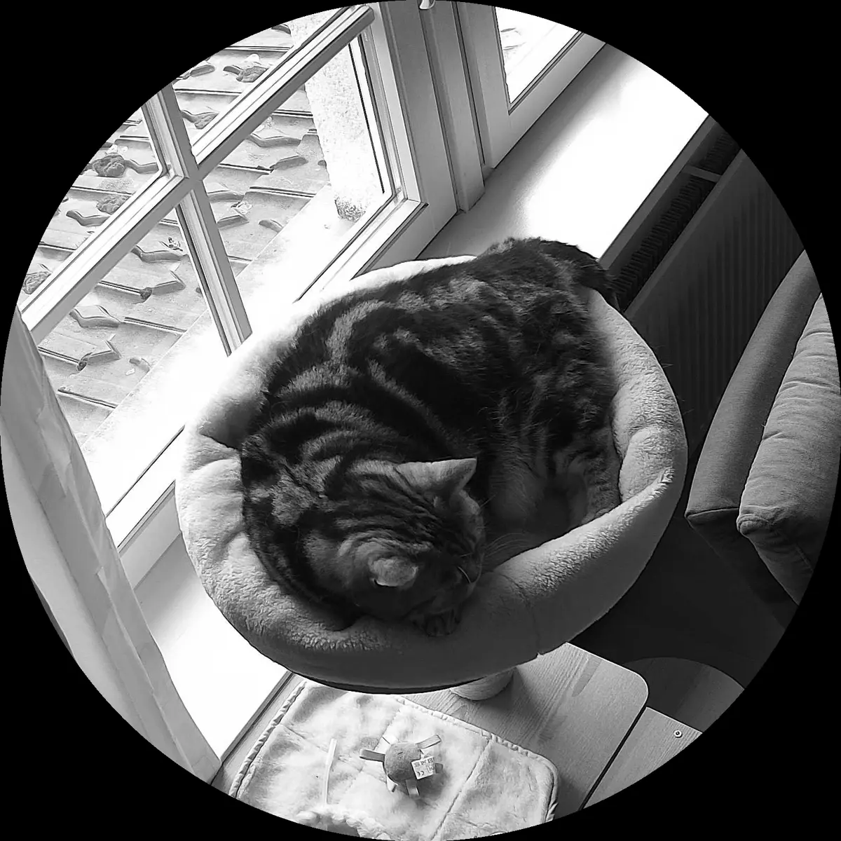 Rocky’s place on 31. März 2024 at 01:00