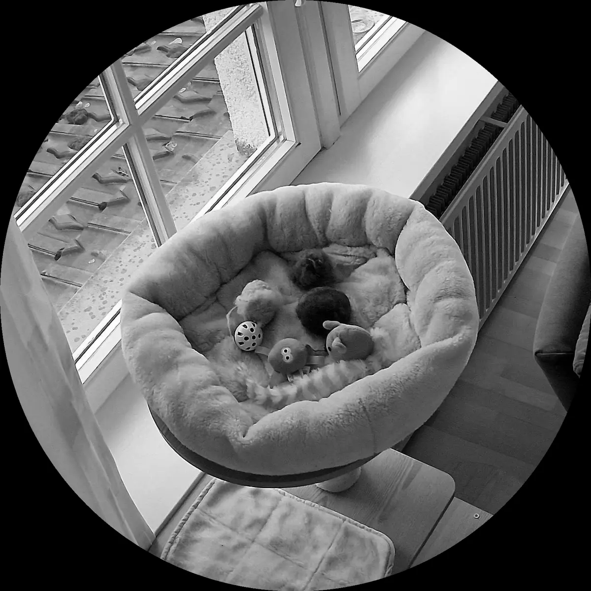 Rocky’s place on 31. März 2024 at 01:00