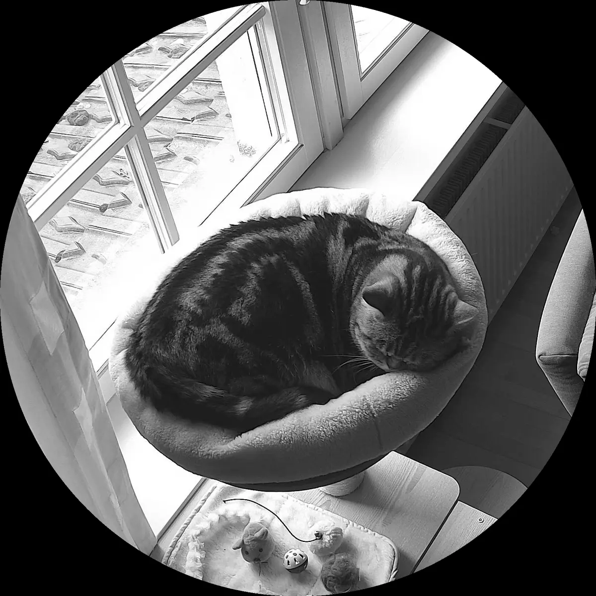 Rocky’s place on 1. April 2024 at 02:00