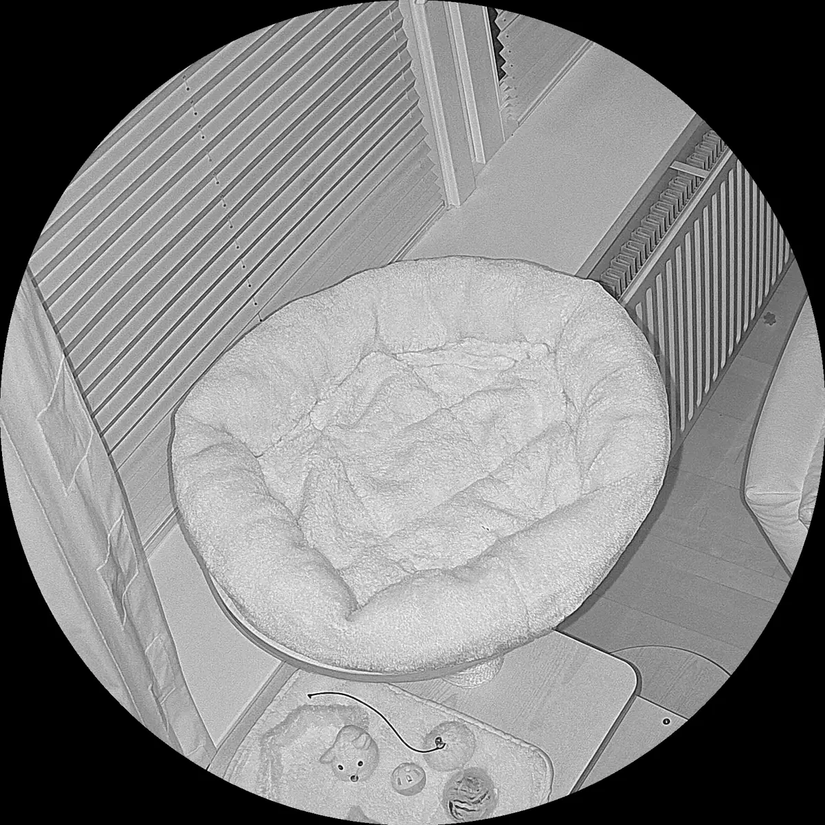 Rocky’s place on 1. April 2024 at 02:00