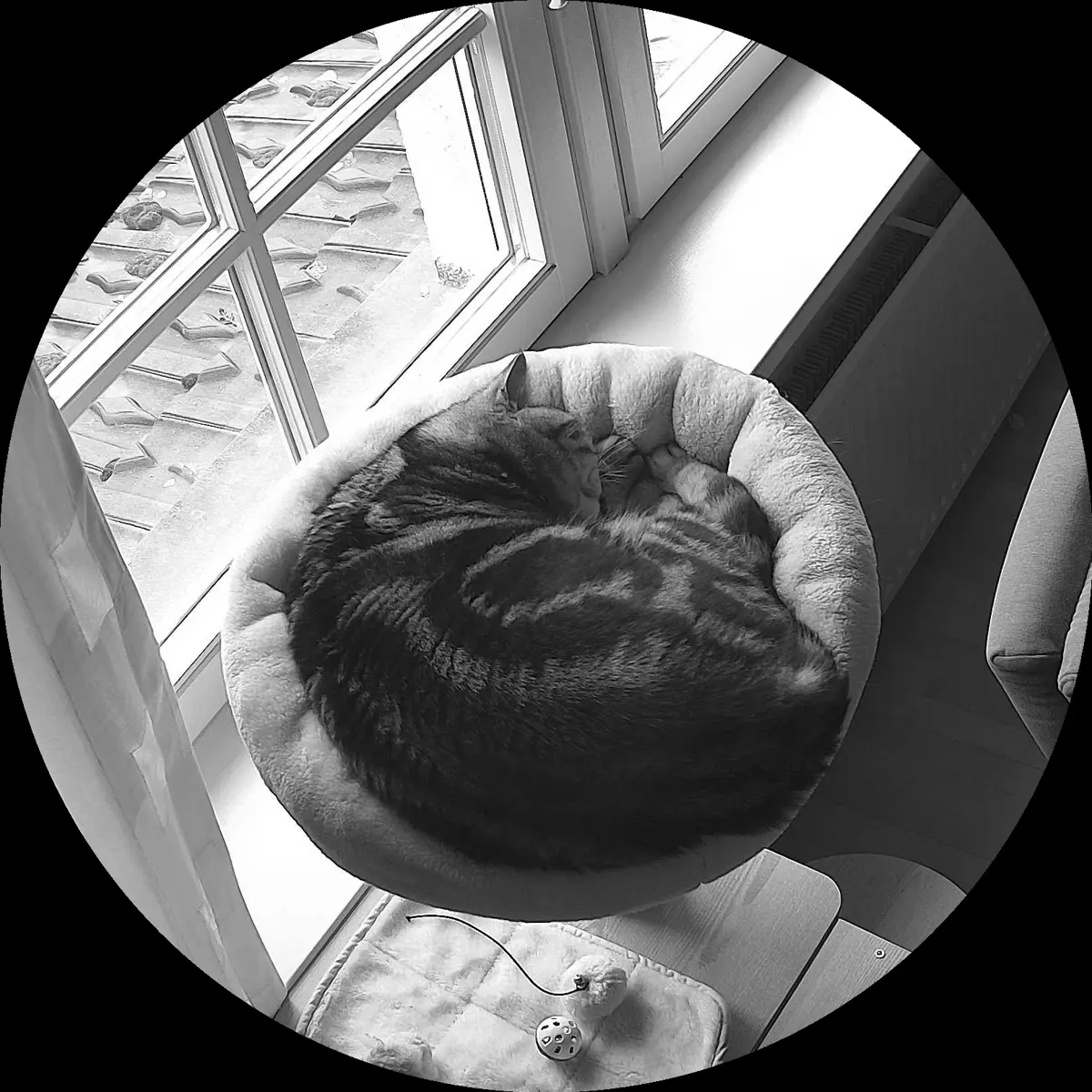 Rocky’s place on 2. April 2024 at 02:00