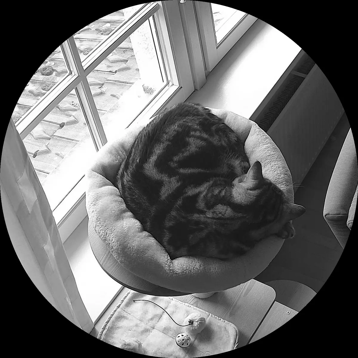 Rocky’s place on 2. April 2024 at 02:00