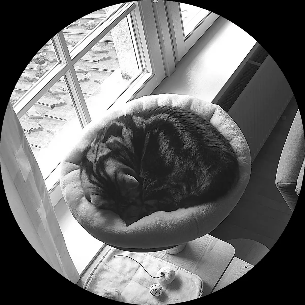 Rocky’s place on 2. April 2024 at 02:00