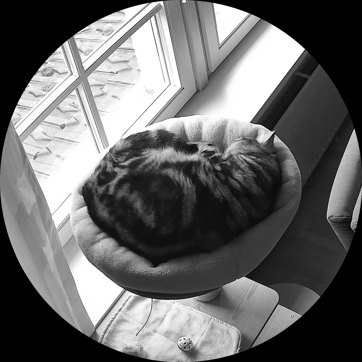 Rocky’s place on 3. April 2024 at 02:00