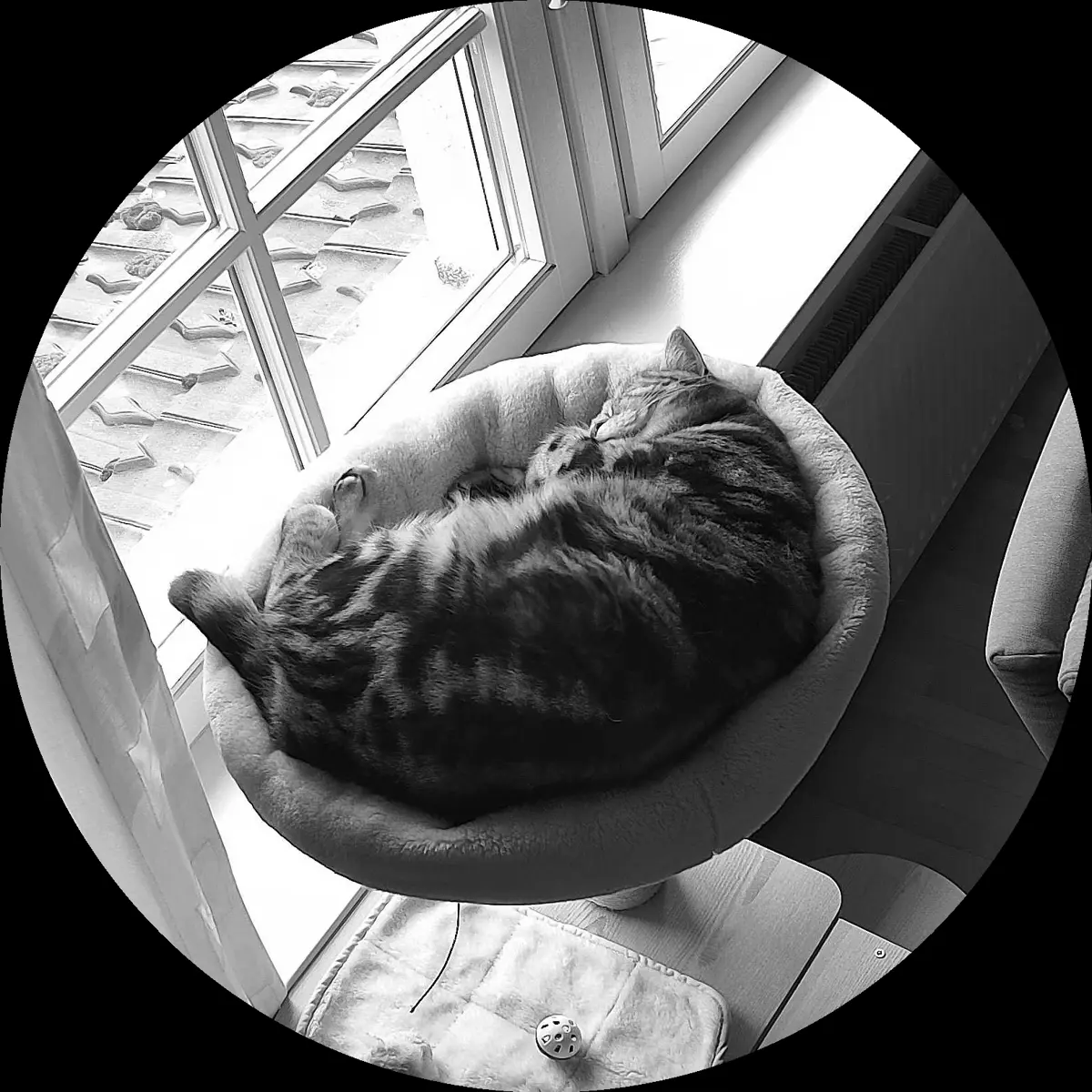 Rocky’s place on 3. April 2024 at 02:00