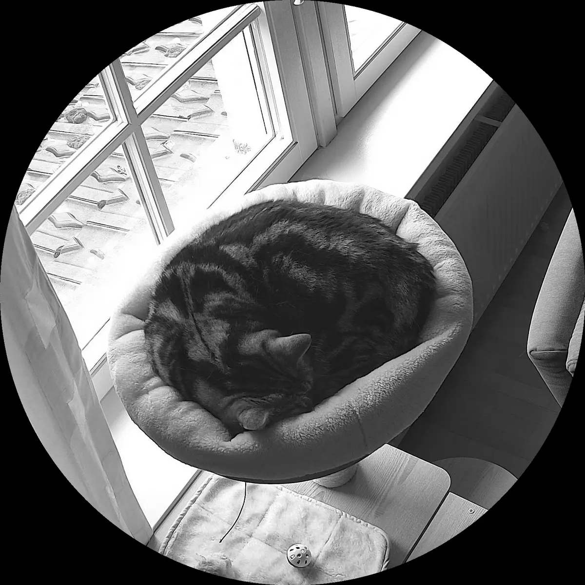 Rocky’s place on 3. April 2024 at 02:00