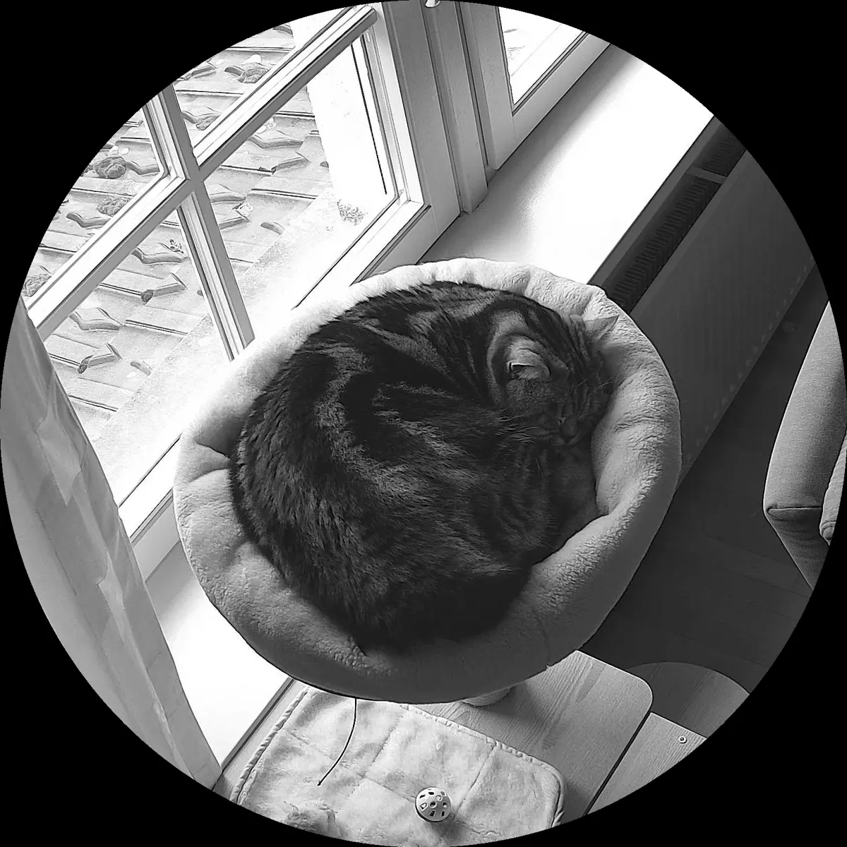 Rocky’s place on 3. April 2024 at 02:00