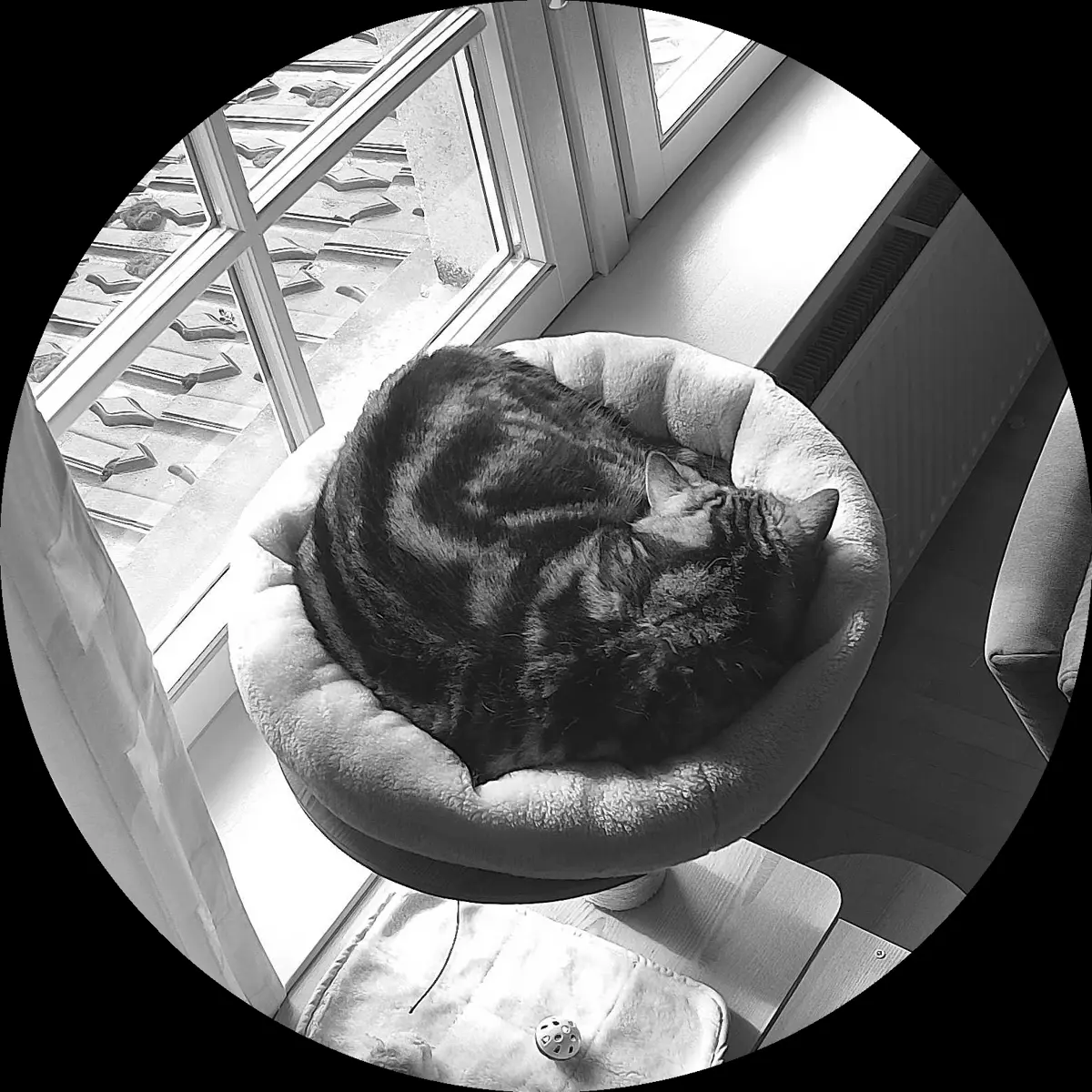 Rocky’s place on 3. April 2024 at 02:00