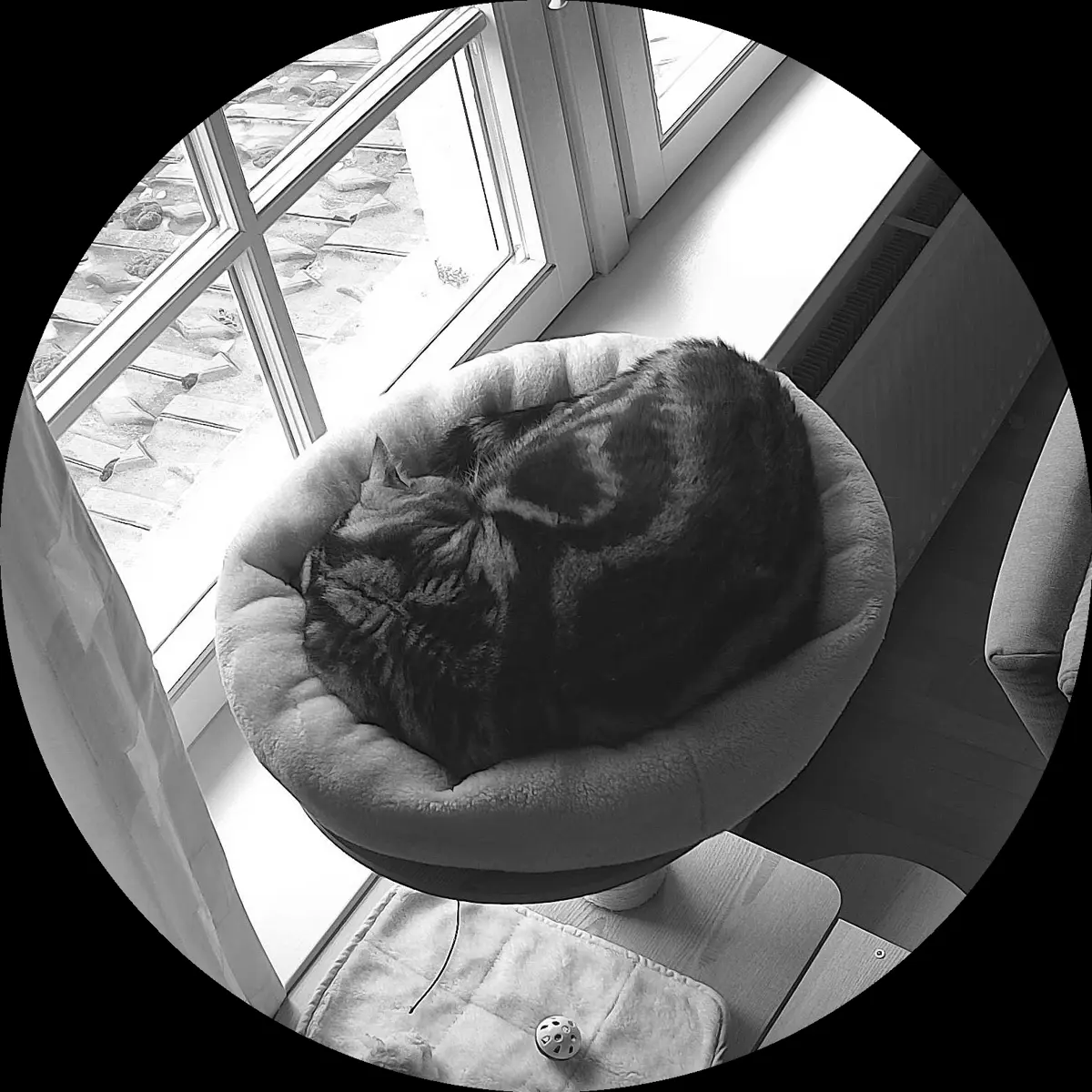 Rocky’s place on 3. April 2024 at 02:00