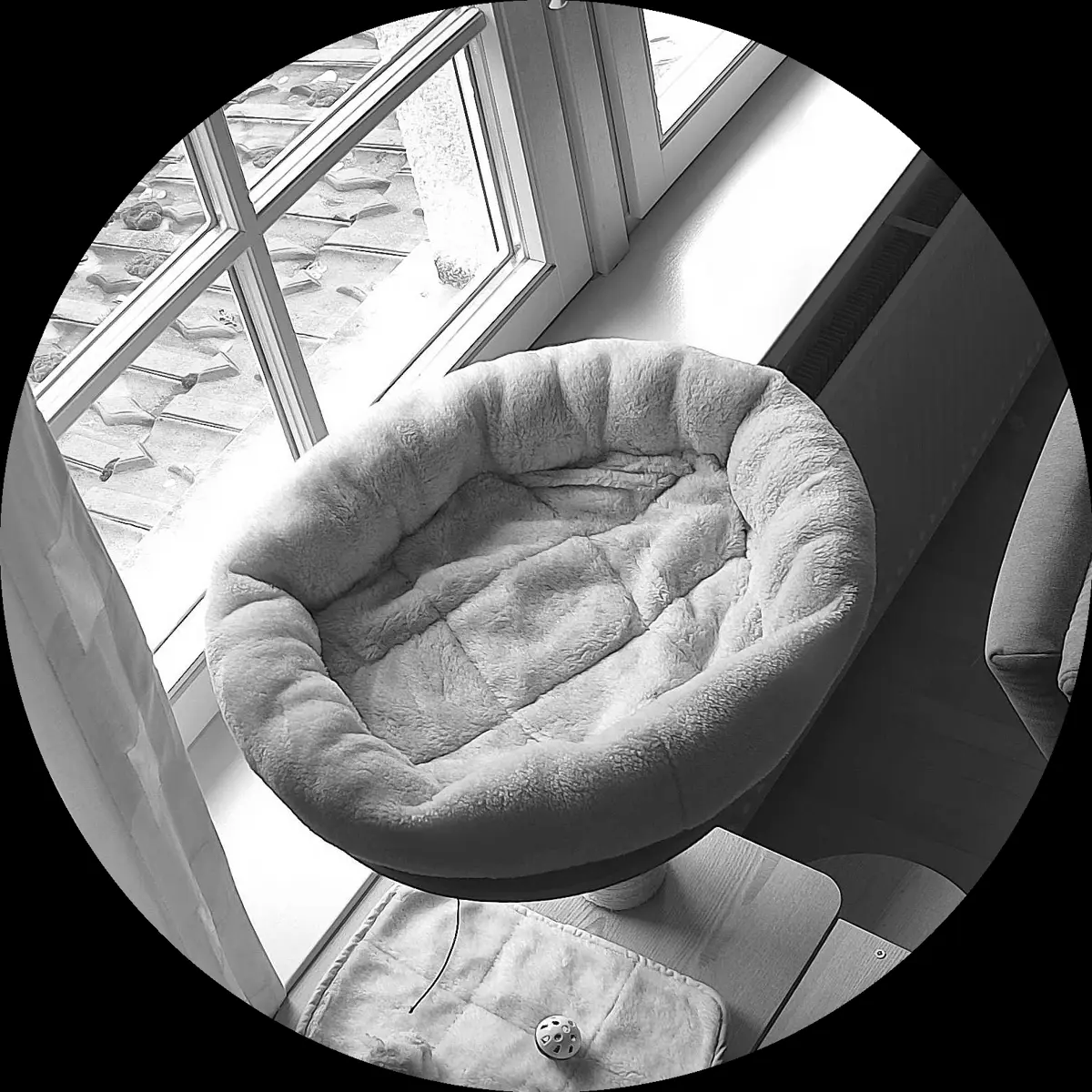 Rocky’s place on 3. April 2024 at 02:00